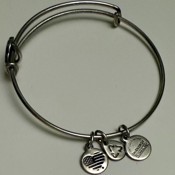 Alex and Ani Silver Bangle - Picture 4 of 4